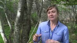 VOICED : Chiles most biodiverse park threatened by climate change News Clip