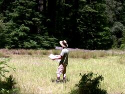 Male Hiker Reading Map in a Meadow. Stock Footage