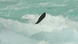 HD: Kayaker Fighting The Rapids Stock Footage