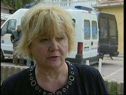 Kosovo Serb leader calls for Serbia to integrate into the EU News Clip