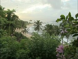 Sri Lanka Stock Footage