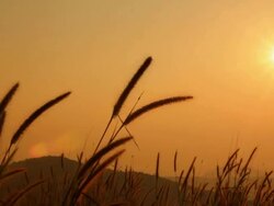 Sunrise at mountain Stock Footage