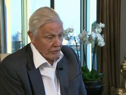 INTERVIEW: Sir David Attenborough on being involved with nature as a subject matter at Sir David Attenborough Interview at Mayfair Exchange on December 11, 2012 in London, England.  Stock Footage