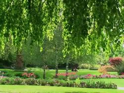 Garden Stock Footage