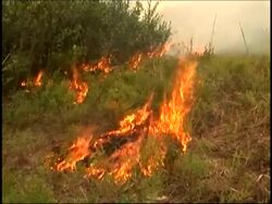 Fire crews are conducting controlled burns in Fargo, Ga in hopes of battling a massive wildfire. News Clip