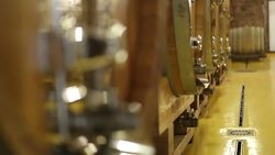 Wine cellar and barrells Stock Footage