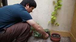 Young man watering his plants Stock Footage
