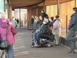 Edinburgh Zoo pandas prove to be a massive success Stock Footage