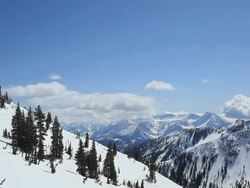 PAN Evergreens sitting atop snow-covered mountains / Alta, Utah, United States Stock Footage