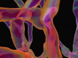 Wobbly Water Strands (seamless) Stock Footage