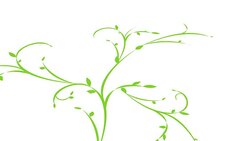 leaf stem Stock Footage