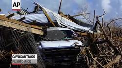 A Race to Save Monkey Island in Puerto Rico News Clip