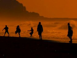 Group of People at the Beach Stock Footage
