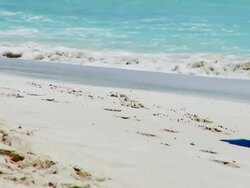 Footsteps In The Sand  - Full Stock Footage