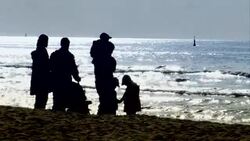 Family Sunset Walk Stock Footage