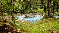 DS Turquoise river Rio Celeste in Costa Rica Stock Footage