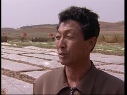 Report on North Korea planting season News Clip