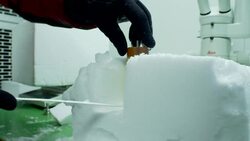 Schneeprofil, Snow profiles, Lawinenexperten, Wissenschaftler Stock Footage