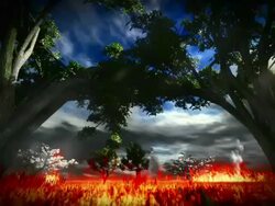 Forest fire Stock Footage