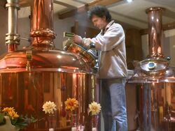 MS Little brewery / Mannebach, Rhineland-Palatinate, Germany                             Stock Footage