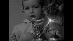 CAN680 CHRISTMAS TREE BOY News Clip