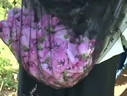 VOICED: Flower power boosts local economy in Morocco News Clip