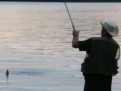 HD Video of Fly-Fishing at Sunset Stock Footage