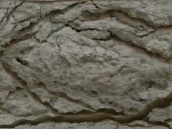 CRACKED BACKGROUND : white back (TRANSITION) Stock Footage