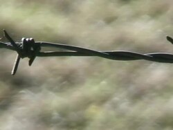 Barbed wire - HD 1080/60i Stock Footage