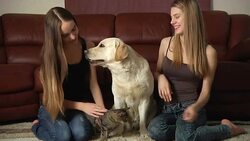 young women with pets Stock Footage