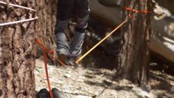 A man balancing on a slackline while reading a book. Stock Footage