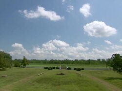 WS View of plantation gardens / New Orleans, Louisiana, United States Stock Footage