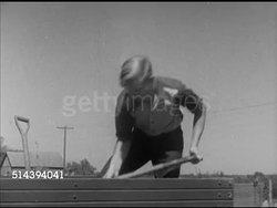 1952: LABETTE COUNTY AGRICULTURAL STUDENTS: VS Labette County High School students unloading & filling trough w/ fodder feed, cattle, cows, feeding on farm. Kansas, KS, education, agriculture Instructional Video