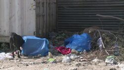 VOICED : India: gobierno llama a vecinos a limpiar calles News Clip