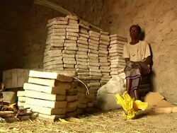 Man sitting next to blocks of salt Stock Footage