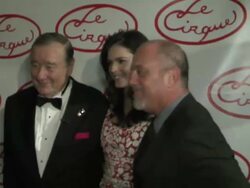 Opening Party for Le Cirque Stock Footage