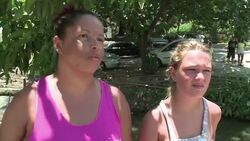 VOICED : Caimanes en favela de Rio de Janeiro News Clip