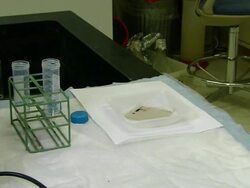 Gas chromatography-mass spectrometry (GCMS), University of Washington, Seattle, USA Stock Footage