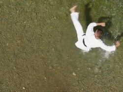 CRANE: Tai Chi In Water Stock Footage