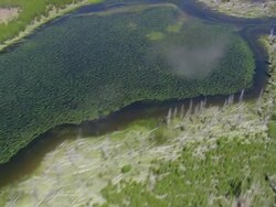 WS AERIAL View over lake and broken trees at Yellowstone National Park / Wyoming, United States Stock Footage