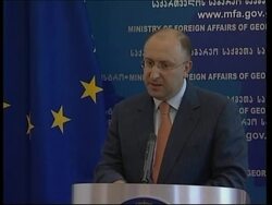 Georgian FM calls for UN action against Russia over alleged missile attack Instructional Video