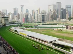 Elevated View with an ongoing Race Stock Footage