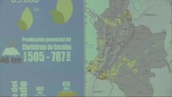 Cocaine production potential rises 46% Instructional Video