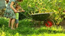 wheelbarrow Stock Footage