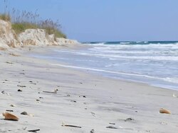 Shell beach focus on shells in the foreground Stock Footage