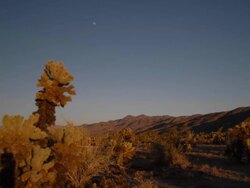 Desert Sunset timelapse Stock Footage