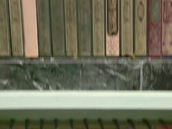 MS TU TD Rows and rows of books / New York City, United States Stock Footage