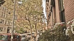 Brooklyn buildings in New York Stock Footage