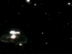 GLOWING JELLIES Stock Footage