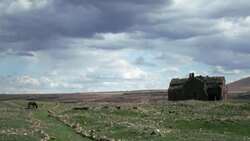Horse eating grass next to ancient Amenian ruins in Ani, Eastern Anatolia. Stock Footage
